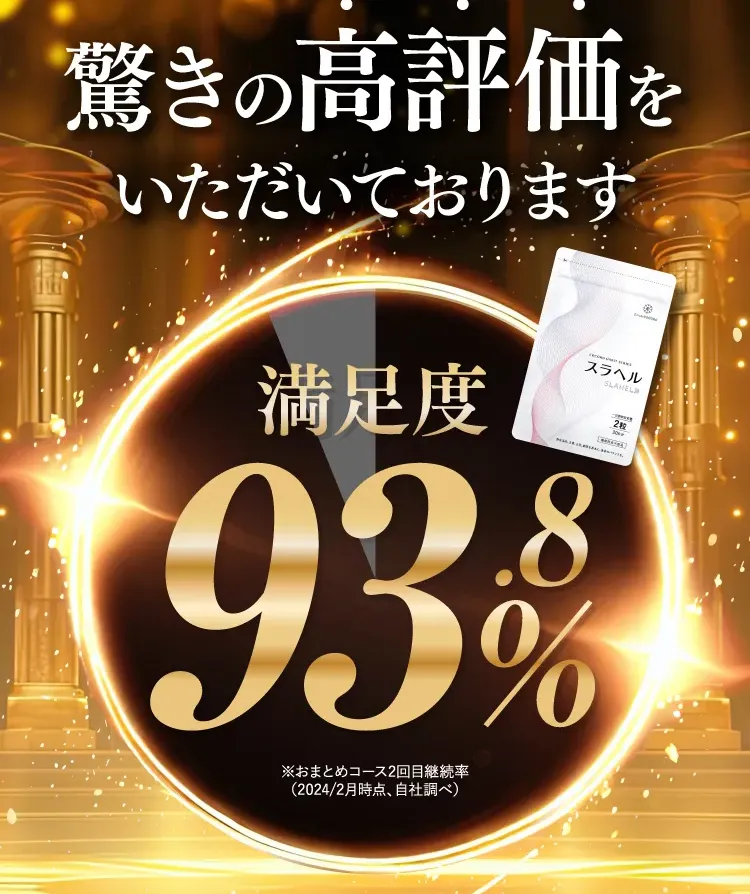 スラヘルの満足度