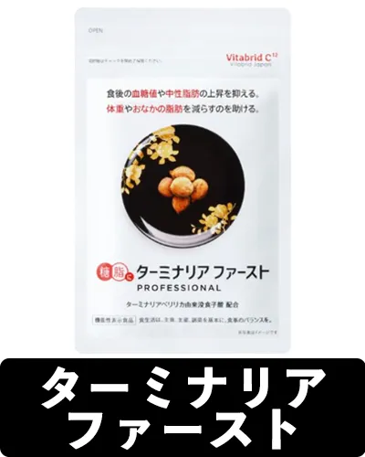 ターミナリアファースト